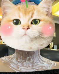 -深圳阳光医疗美容医院·旗舰店
