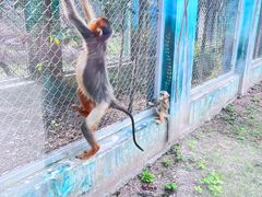 -西安秦岭野生动物园