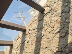 -单家老院·院子里的青岛菜(沙子口店)