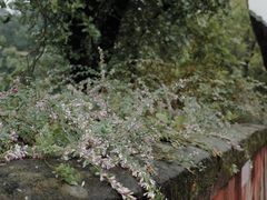 -东坡赤壁风景名胜区