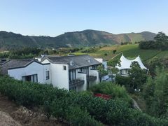 -帐篷客·溪龙茶谷度假酒店