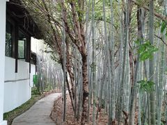 -求雨山文化公园