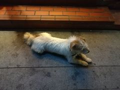 景观位-赵小姐的店(鼓浪屿三友店)