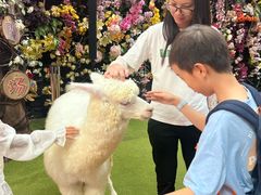 -正佳雨林生态植物园