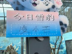 -青藏高原野生动物园