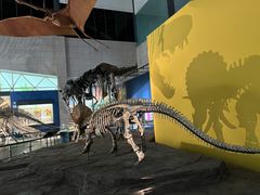 -湖南省地质博物馆