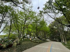 -天目湖山水园