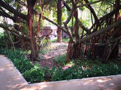 -台山颐和温泉城