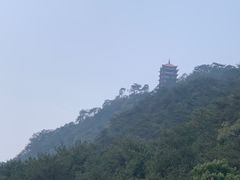 -缙云山景区