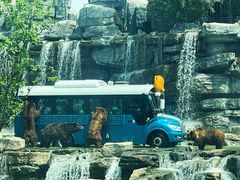 -北京野生动物园