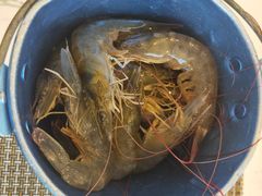-澜悦港海鲜体验主题餐厅