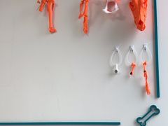 -谐和贝康宠物医院24小时·宠保定点(急重症转诊中心)