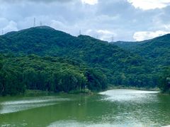 -阳台山森林公园