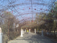 -葫芦古镇关东民俗雪乡