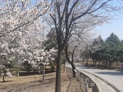 -北京西山国家森林公园