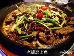 -老板恋上鱼(恒隆广场店)