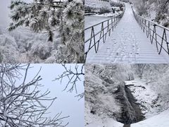 -西安祥峪森林公园