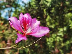 -桤木河湿地公园