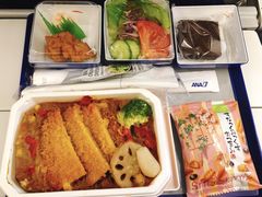 -全日本空输株式会社(上海办事处)