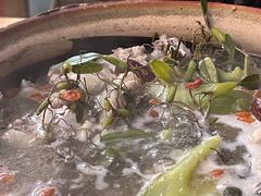 石橄榄炖鸡-洪大厨鸡煲(福田店)