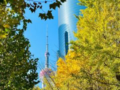 -陆家嘴中心绿地