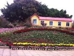 iphone_upload_pic-人民公园(罗湖区)