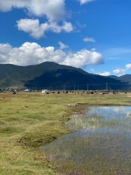 -纳帕海依拉草原