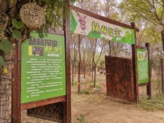 -北京鹿世界主题园