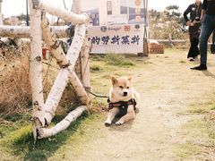 -七爷清汤腩·港式餐厅(金狮广场店)