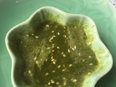 -海桐