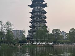-洋湖国家湿地公园