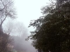 -阿尔罕布拉宫