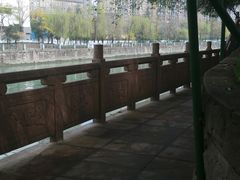 -成都市活水公园
