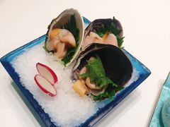 天鹅蛋-红鼎豆捞·非遗鲍皇汤火锅(宝丰路店)