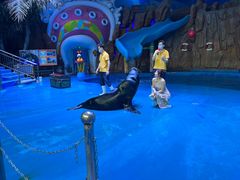 -烟台海昌鲸鲨海洋公园