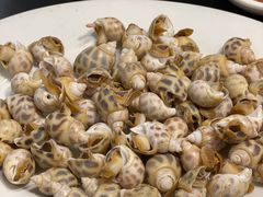 东风螺-大厝宅海鲜馆