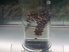 -青岛葡萄酒博物馆