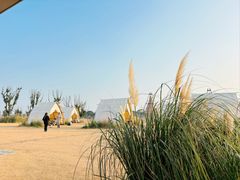 -omitofee咖啡(水泽店)