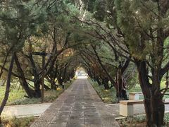 -洛阳古墓博物馆