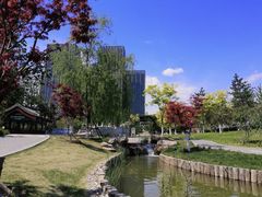 -西海子公园