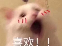 -汪保来(杭州解放路店)