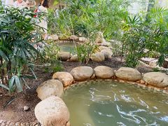 -三江森林温泉度假区