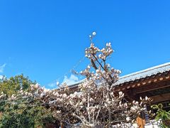 -大理文庙(大理古城)