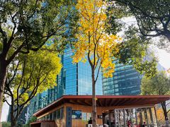 -北外滩滨江绿地