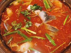 -新凯里酸汤鱼(飞山街店)