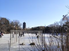 -北京大学-燕南食堂