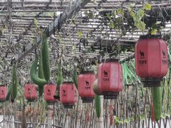 -元鼎宝驴香·全驴宴(江宁店)