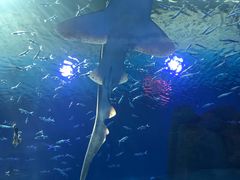 -波塞冬旅游度假区