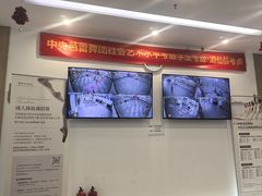 -中央芭蕾舞团·中芭艺蕾(酒仙桥明星校区)