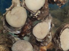 -沿海渔家院海鲜烧烤·东北菜(东戴河店)